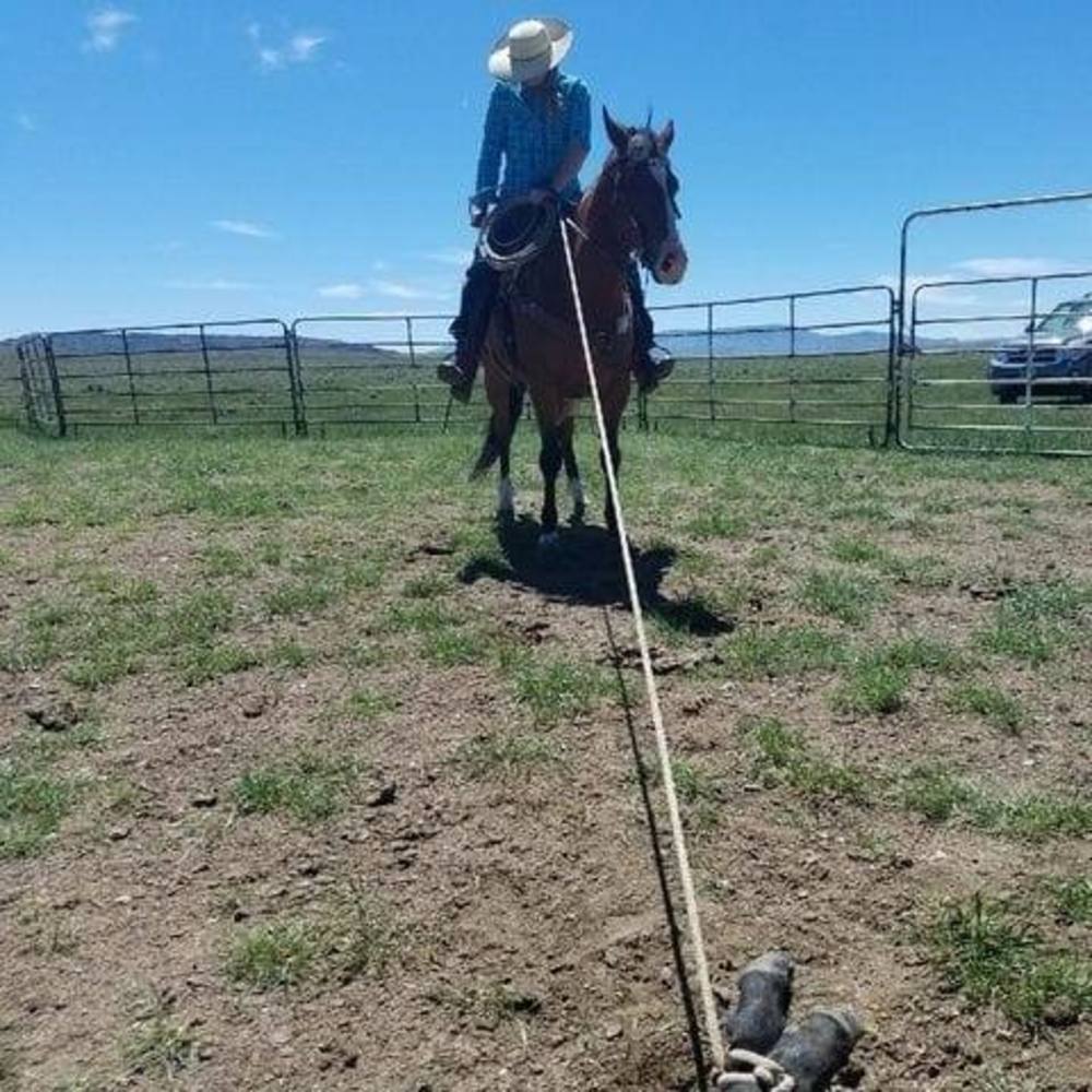 Meet your Posher, Ruby